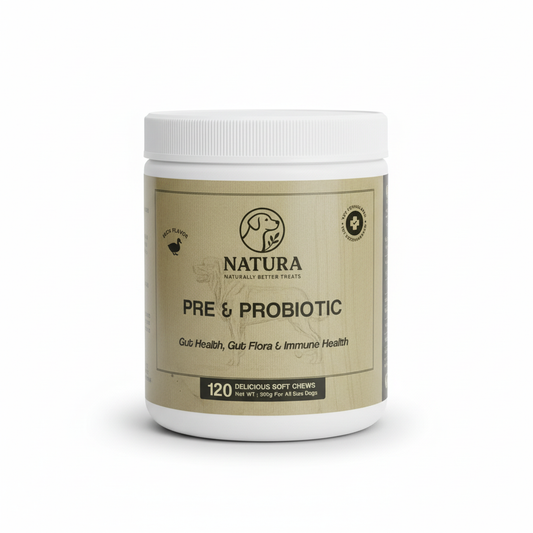 Prebiotic & Probiotic - Gut Health Booster