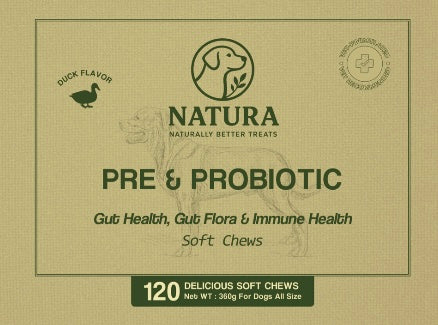 Prebiotic & Probiotic - Gut Health Booster