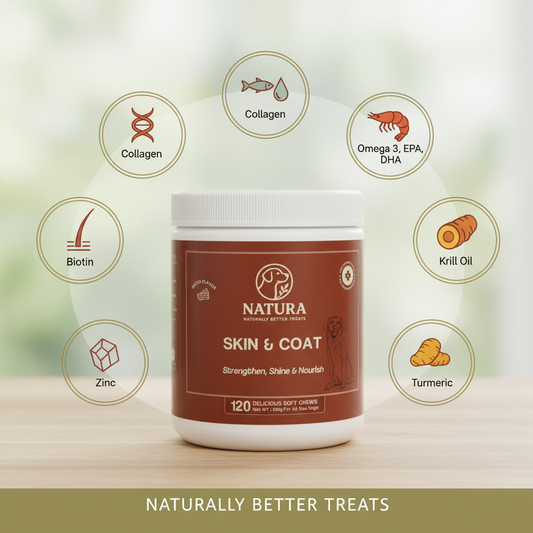 Skin & Coat Support Dog Treats