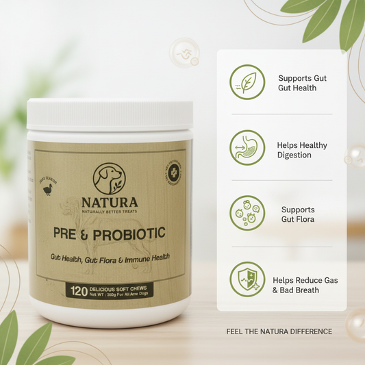 Prebiotic & Probiotic - Gut Health Booster